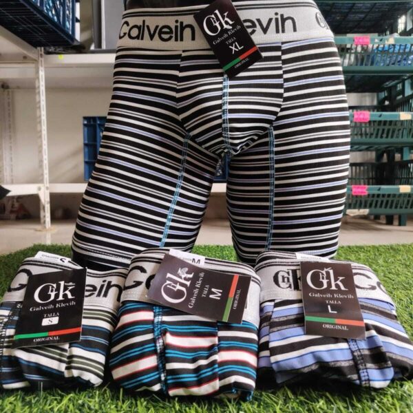 Ropa Interior para Hombres
